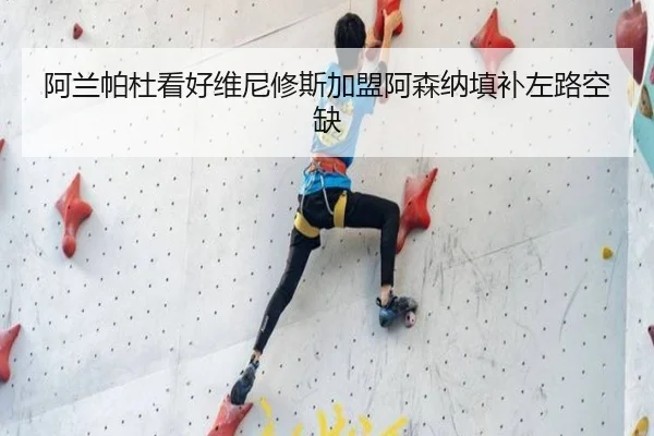阿兰帕杜看好维尼修斯加盟阿森纳填补左路空缺